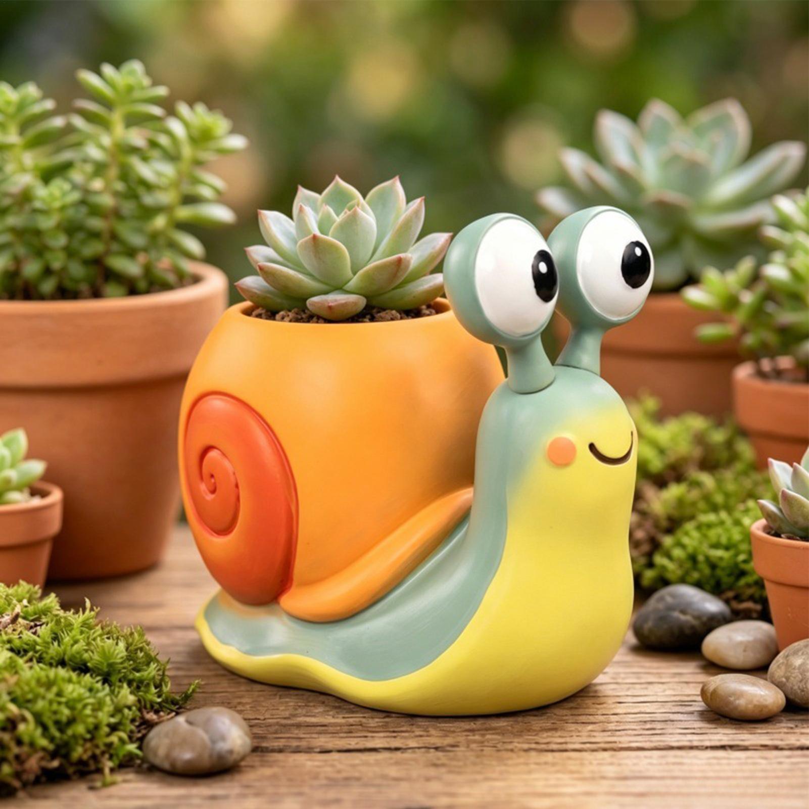 Doniczka w kształcie ślimaka,  – Echeveria Succulent recenzja i cena