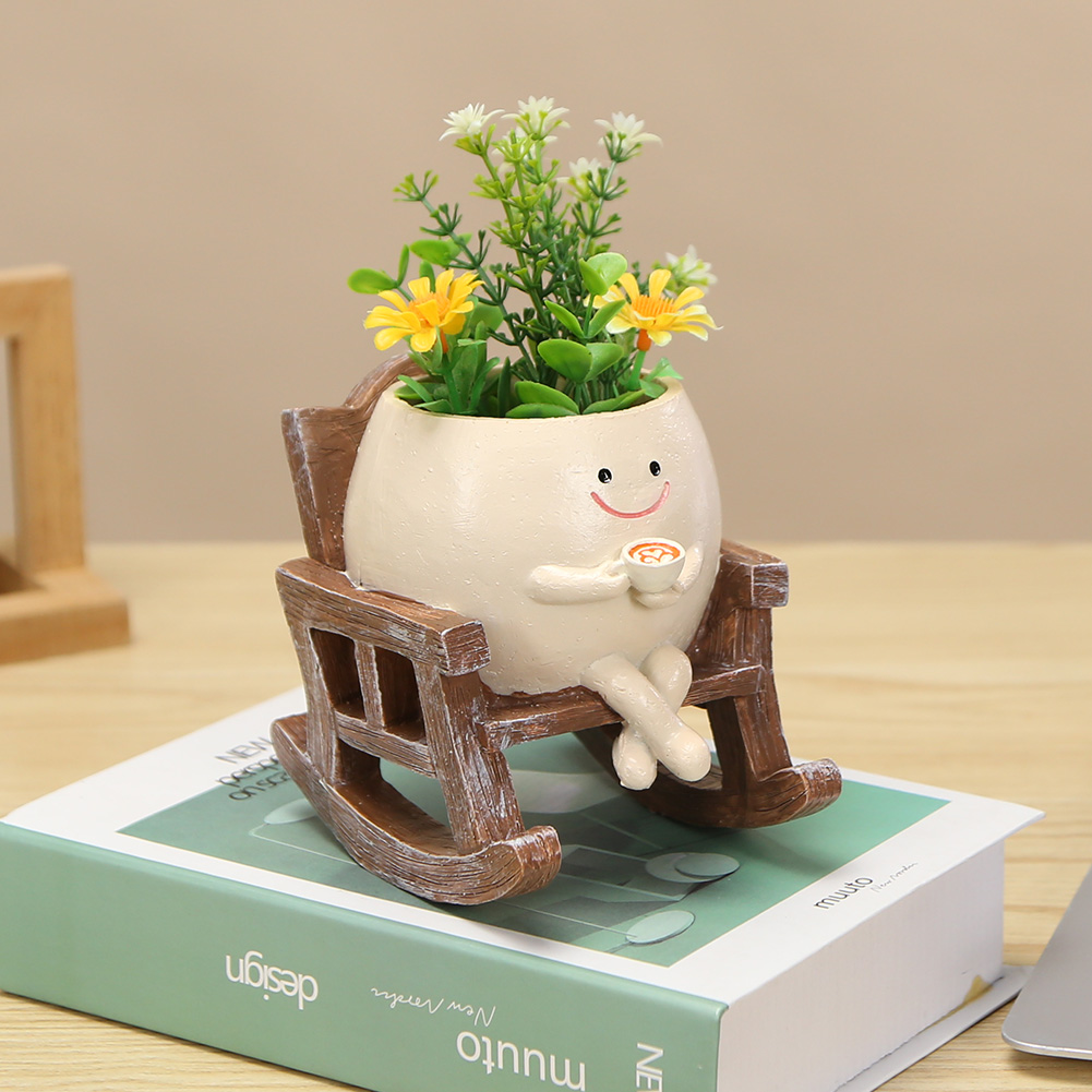 Kreatywna doniczka na sukulent – Echeveria Succulent recenzja i cena