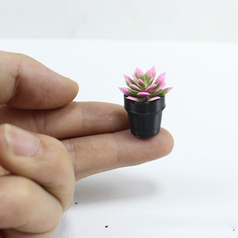 8 szt. Miniaturowych, plastiko – Echeveria Succulent recenzja i cena