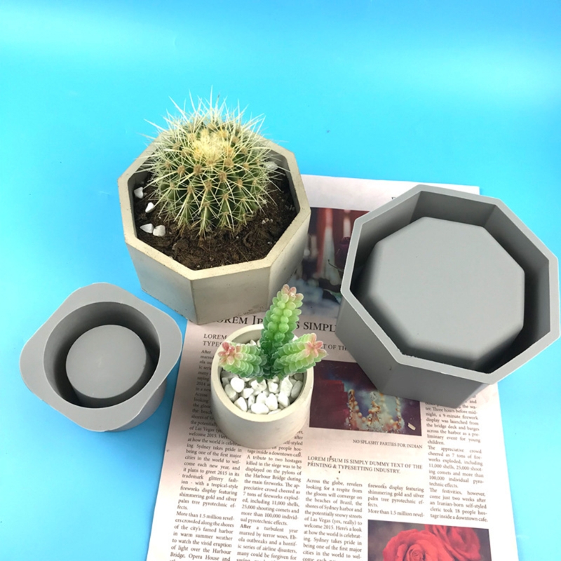 Ręcznie robiona doniczka na su – Echeveria Succulent recenzja i cena