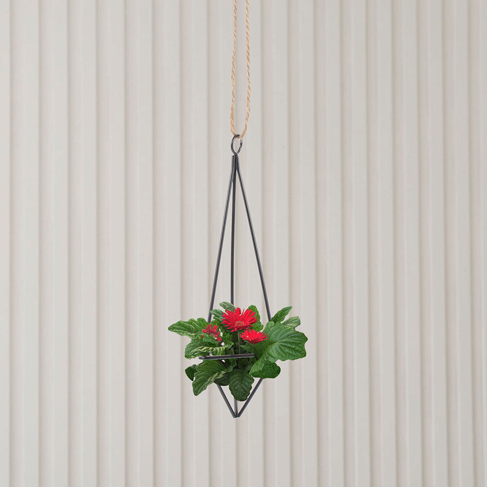 2 sztuki – metalowe, geometryc – Spider Plant Hanging recenzja i cena